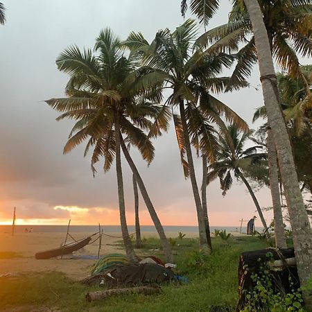 Shoreline Marari Beach Villa At Golden Beach Mararikulam Alappuzha Екстериор снимка