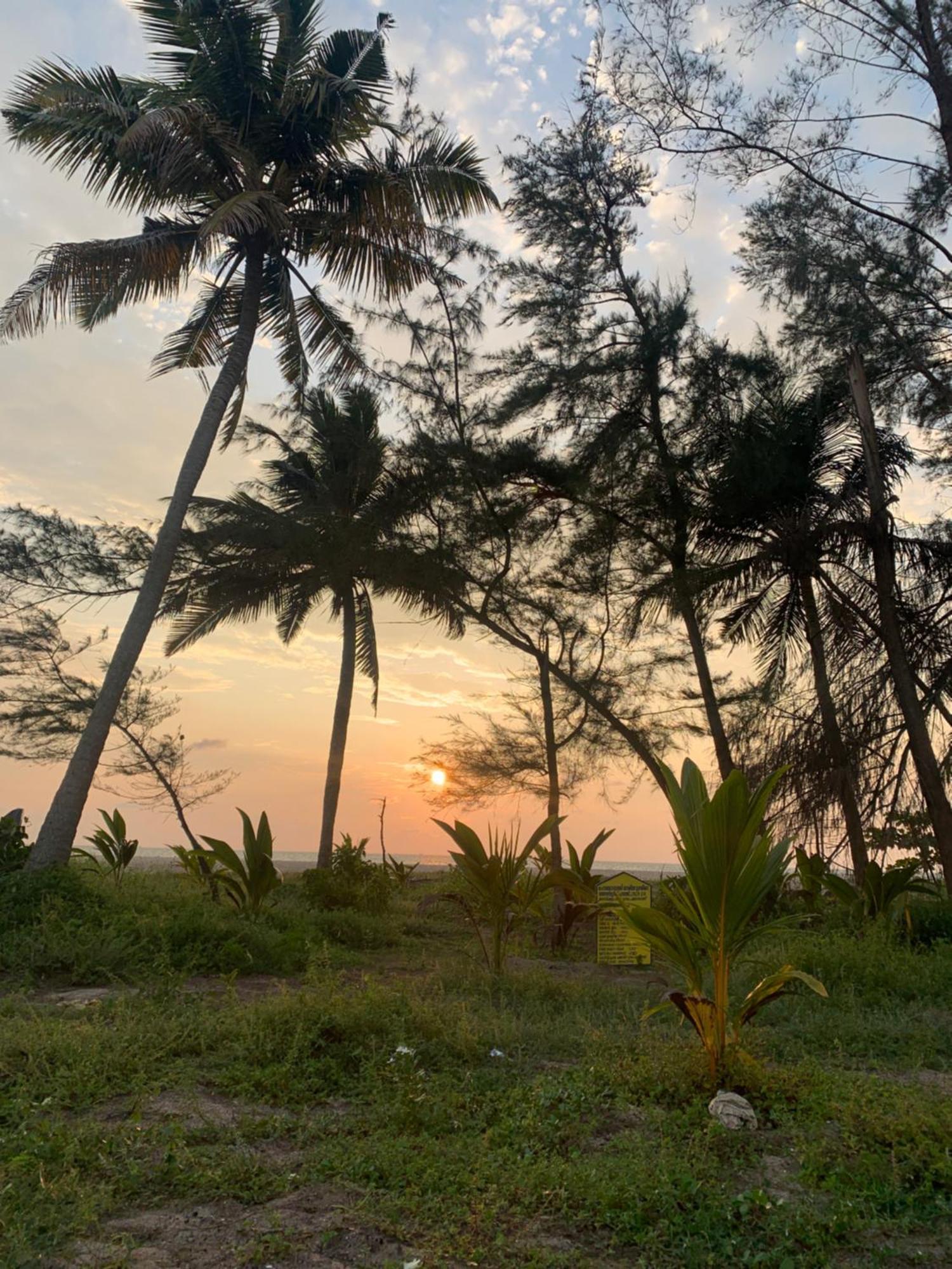 Shoreline Marari Beach Villa At Golden Beach Mararikulam Alappuzha Екстериор снимка